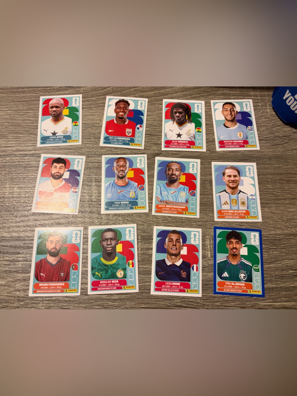 Panini FIFA Sticker Player Collection - Multi-Color